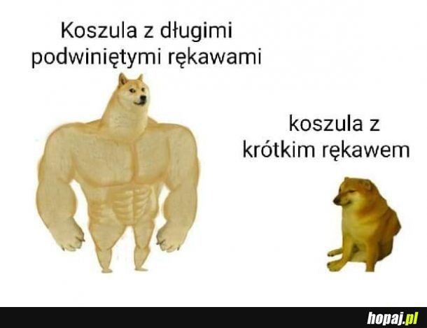 Koszule z długimi rękawami