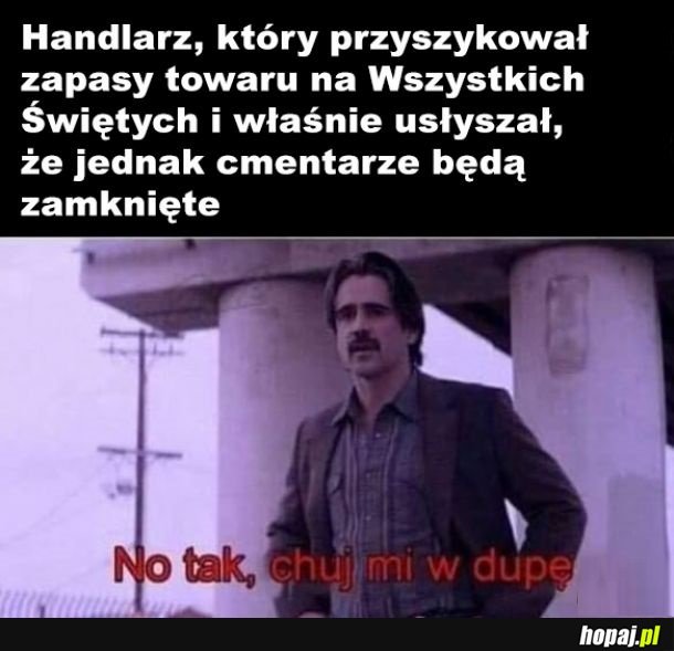 Podobno wspieramy tu przedsiębiorców