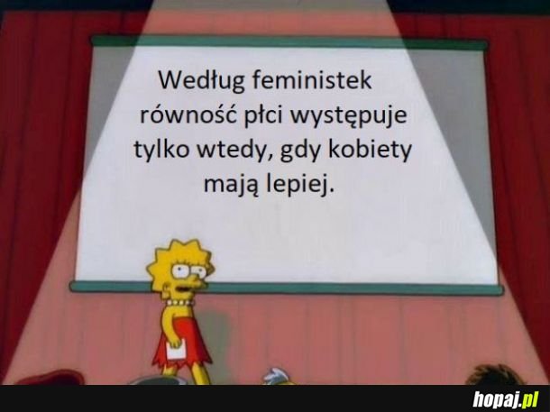 Feministki 