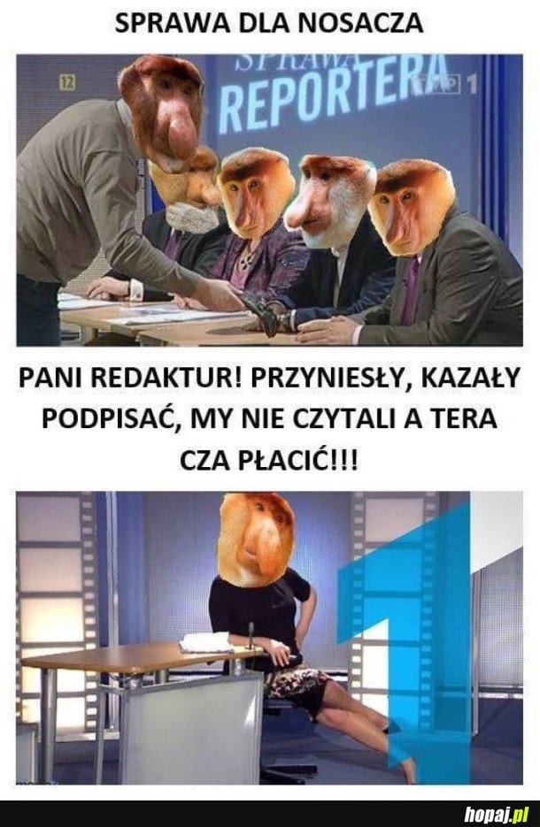 SPRAWA DLA NOSACZA