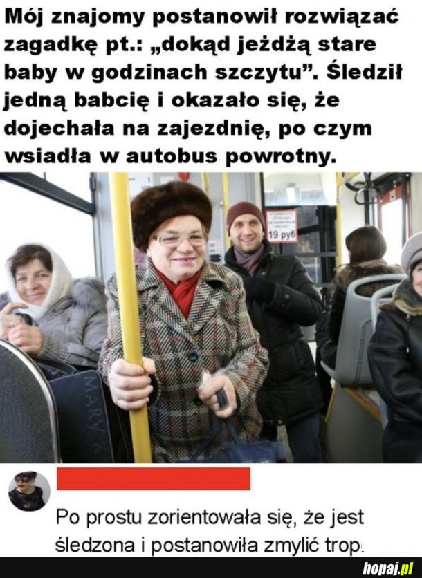 Zorientowała się