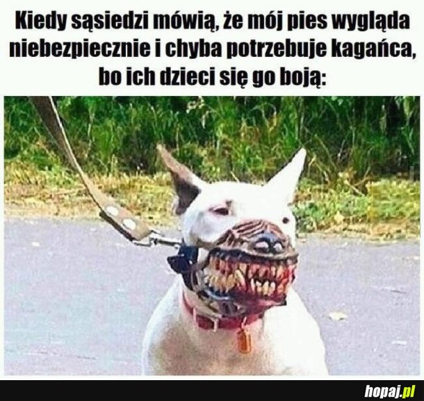 SŁODKI PIESEK