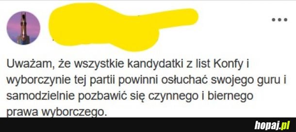 Powinny realizować program partii. 