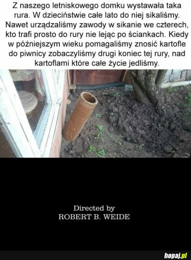 Dojedźcie ziemniaczki