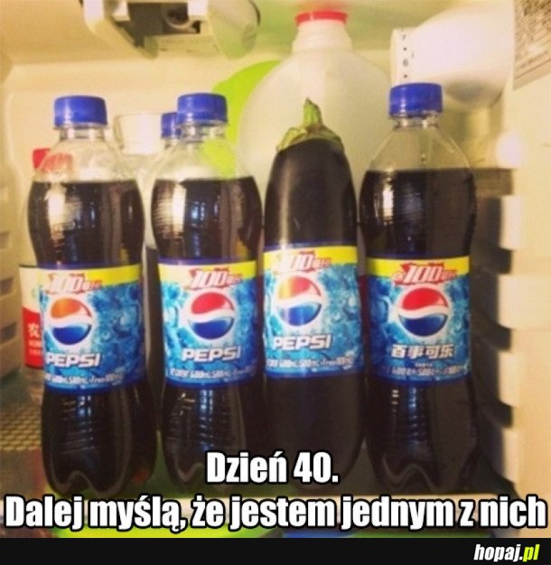 CHWILĘ MI TO ZAJĘŁO...