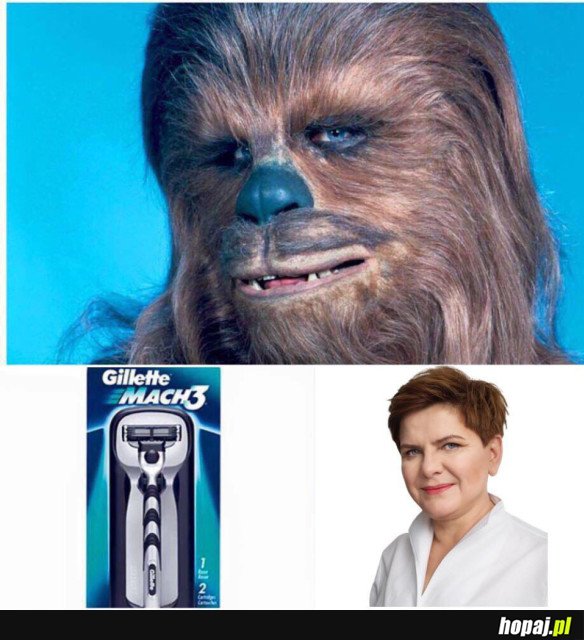 CHEWI SIĘ OGOLIŁ