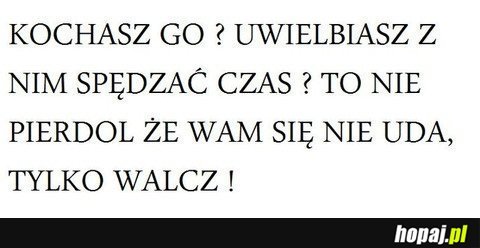 Kochasz go?