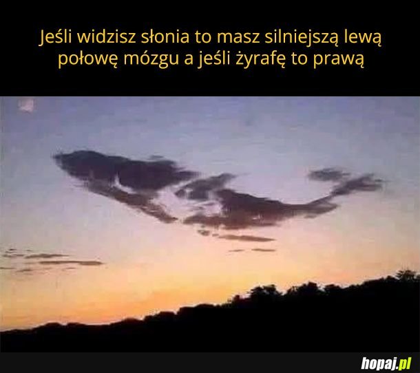 Która połowa mózgu pracuje bardziej