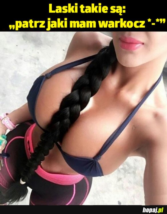 Logika lasek