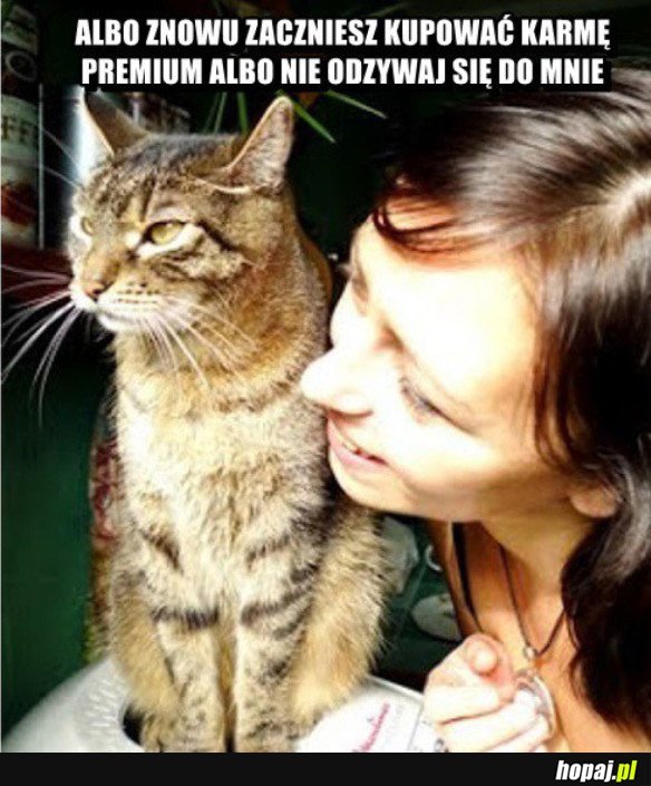 Foch