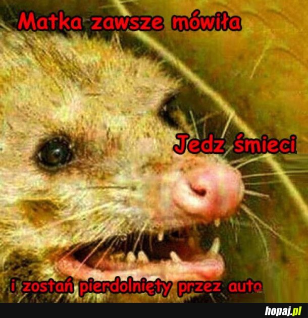 PAMIĘTAJ SŁOWA MATKI