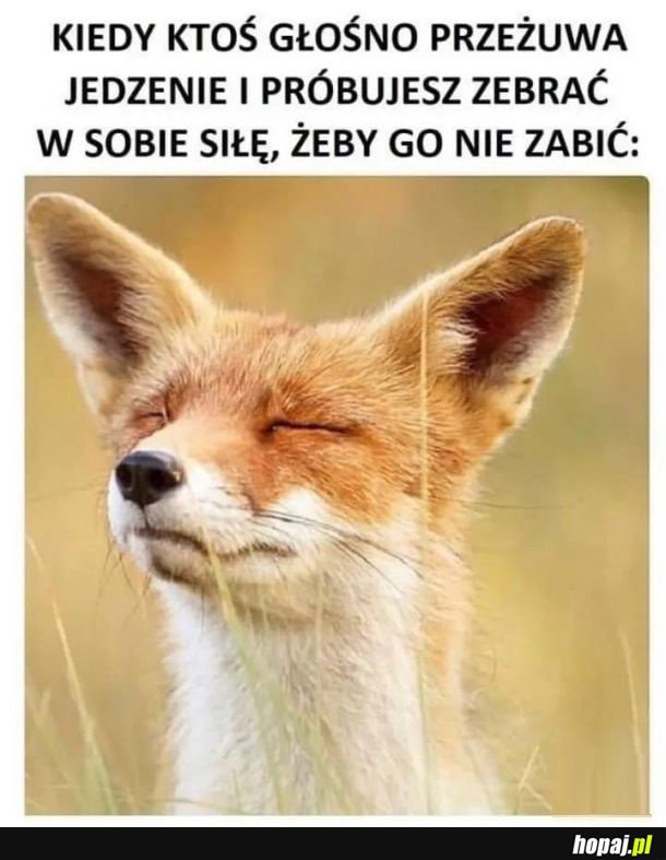 Granice wytrzymałości