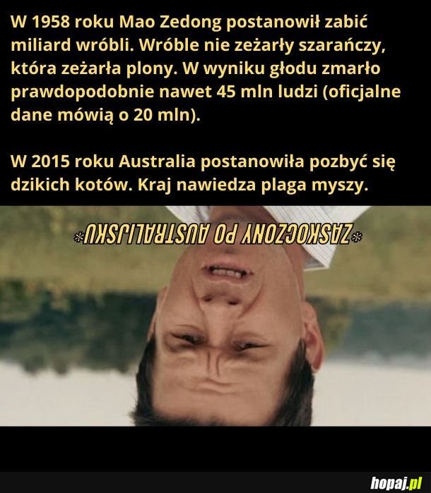 A to zaskoczenie!