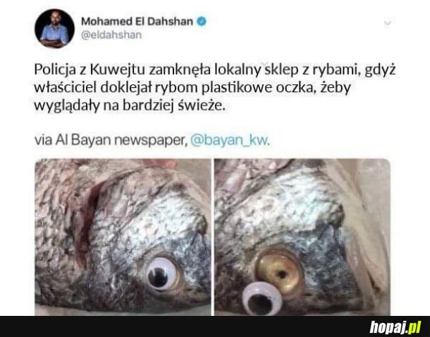  Tymczasem w Kuwejcie 