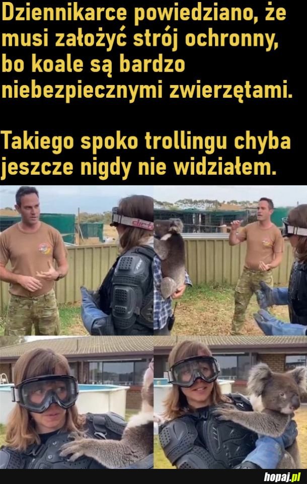 Dziennikarka i koala