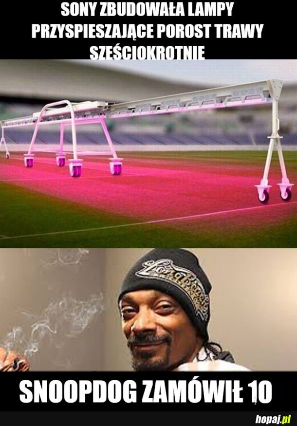 Czo te sony