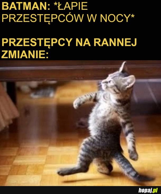 Batman i przestępcy