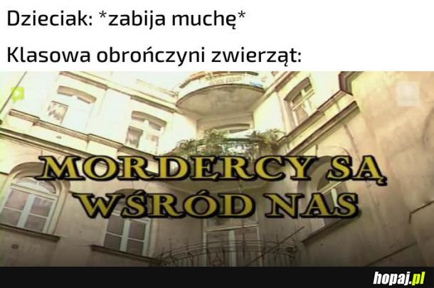 Obrończyni