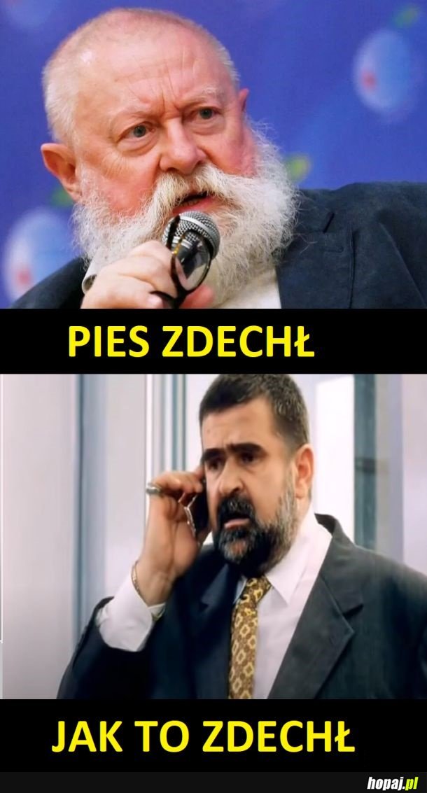 PIES
