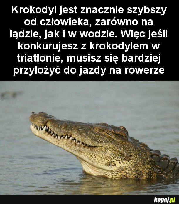 Warto wiedzieć, bo nie wiadomo kiedy się może przydać