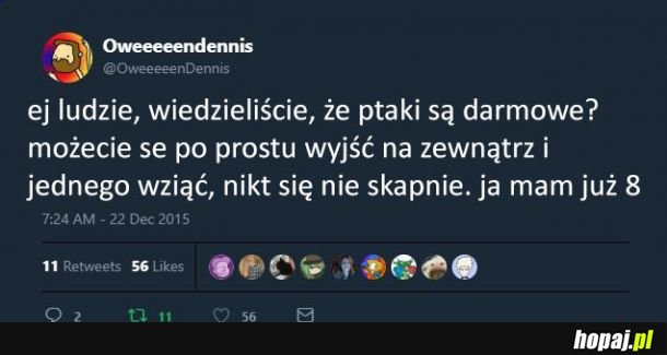 Wiedzieliście o tym?!