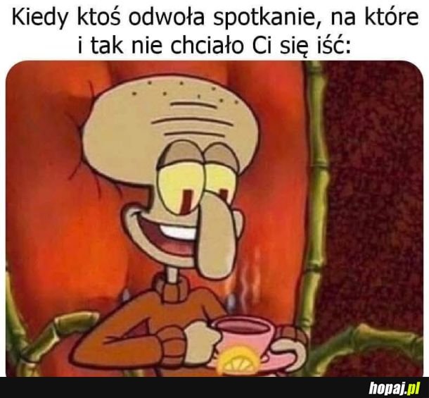 #rajintrowertyka