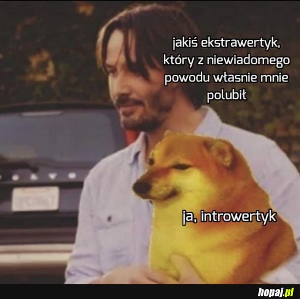 Przyjaźń