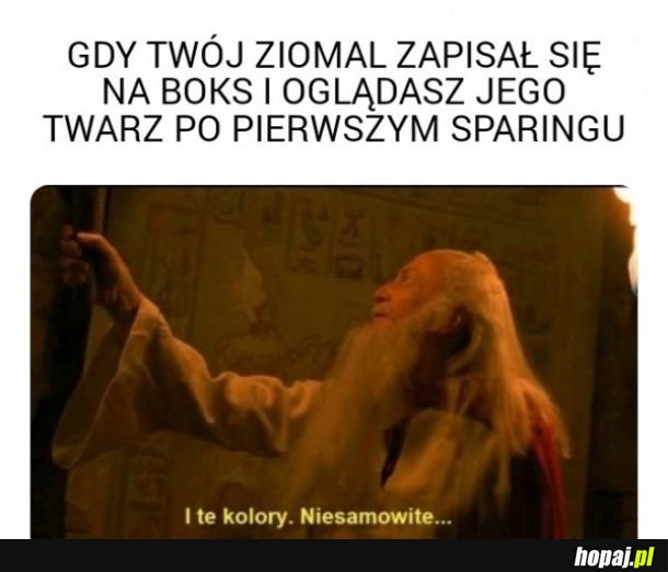 Ziomal i boks