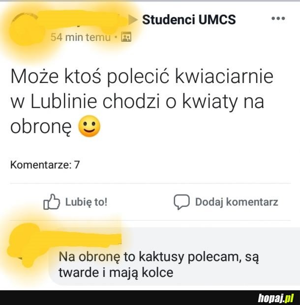 Pomoc