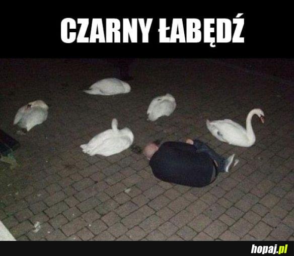 Zagubiony