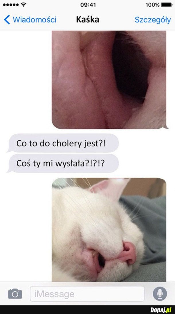 COŚ TY MI WYSŁAŁA