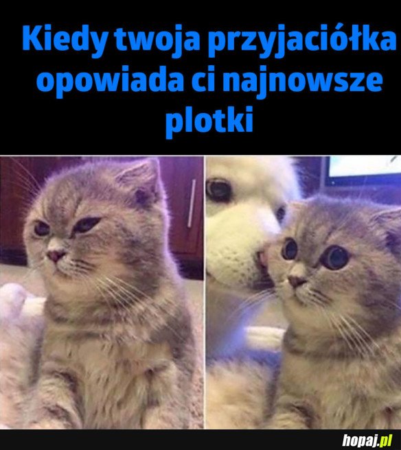 KOCHANA PRZYJACIÓŁKA