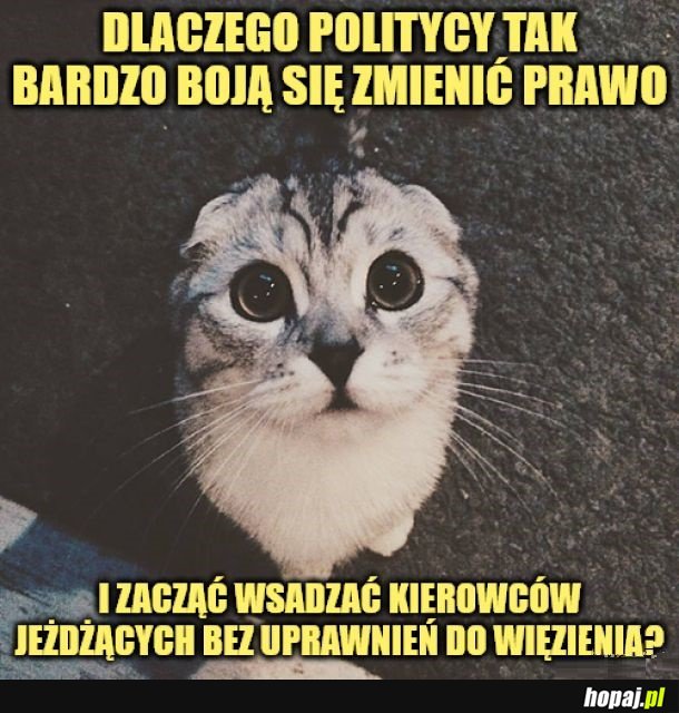 Ciekawe...