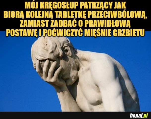 Kręgosłup. 
