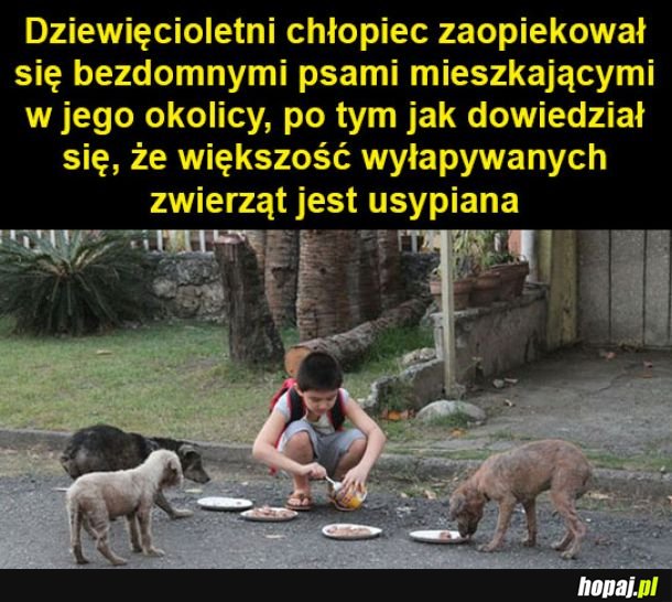 Wspaniały gest