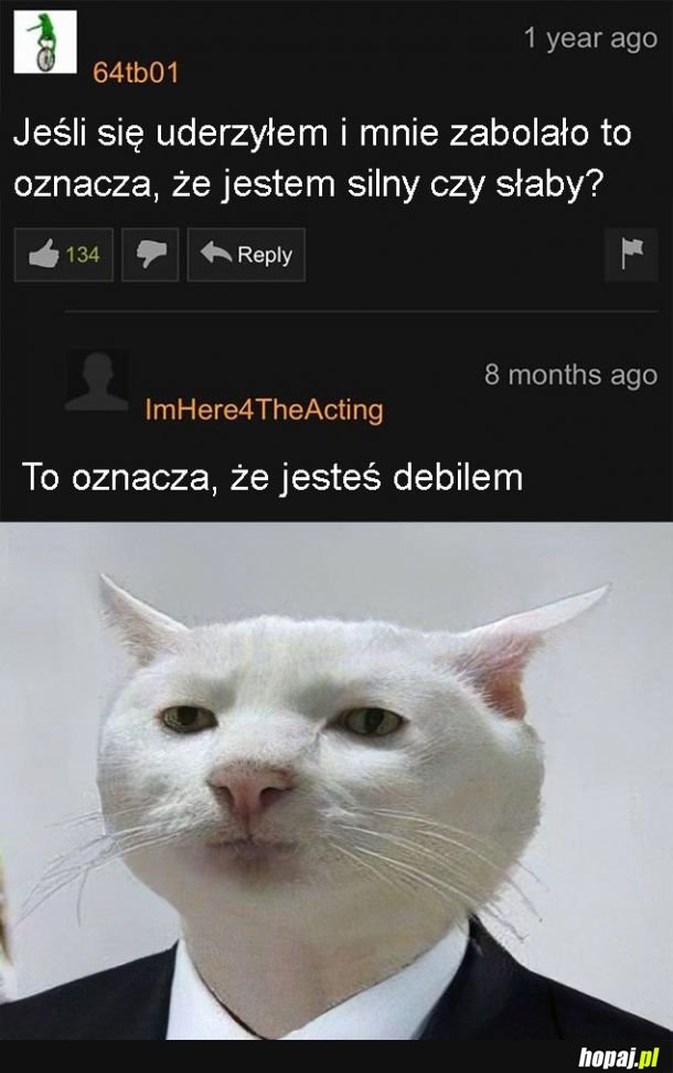 Jest pytanie jest odpowiedź