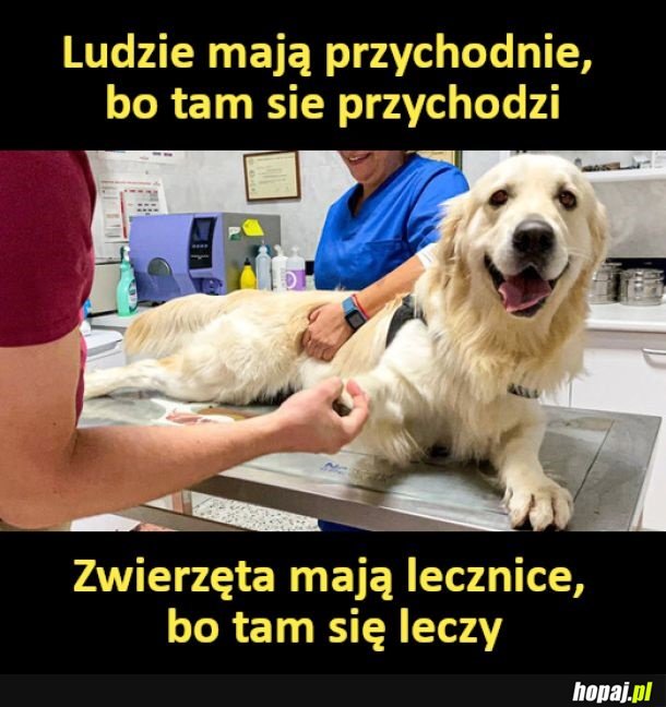 Tak różnica