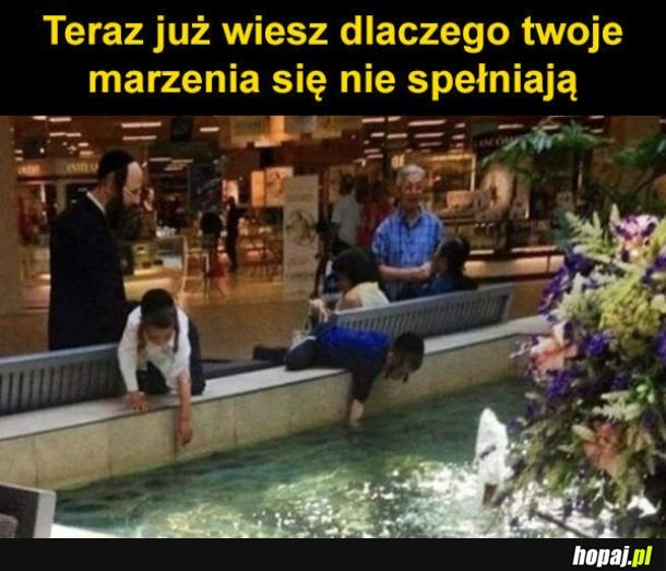 Oto powód