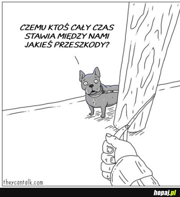 ZA KAŻDYM RAZEM NA SPACERZE