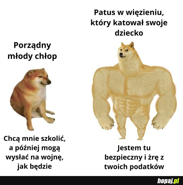 No cóż