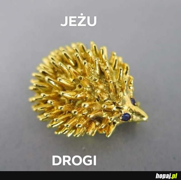  Znowu jeżu 