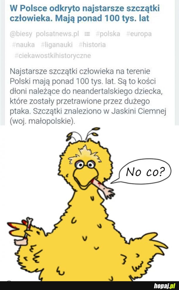 Duży Ptak