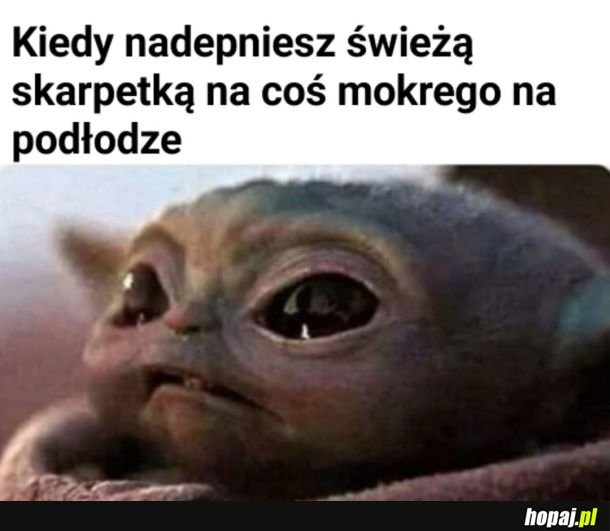 Głośne słowo na k