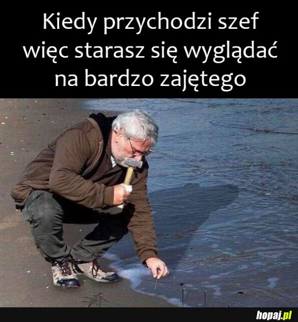 Witam Pana