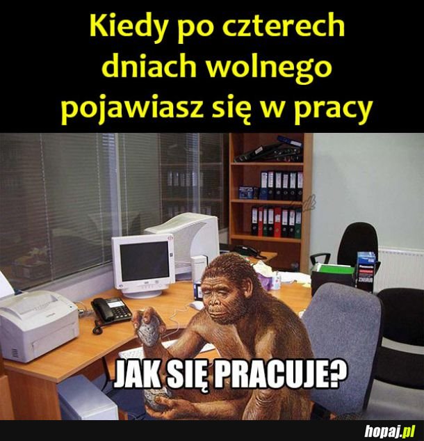 Nie wiem nic