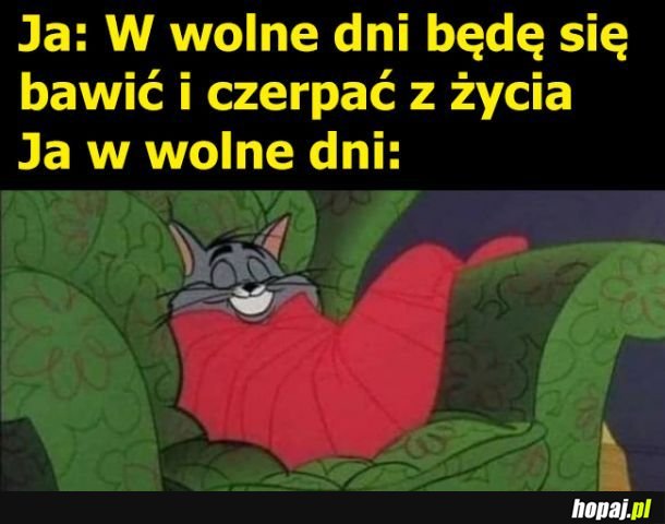 Wolne dni