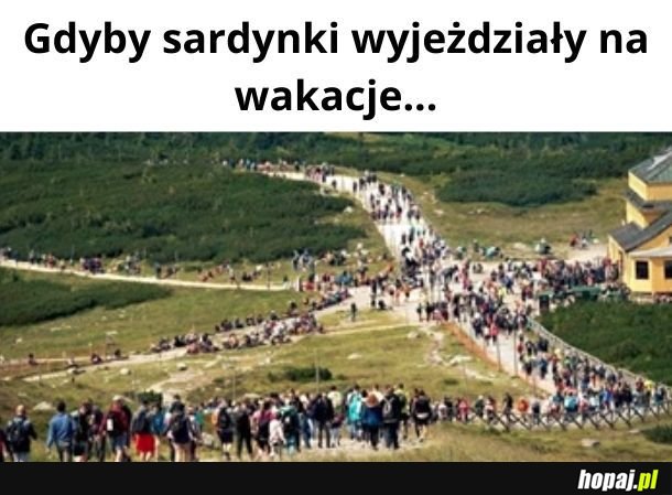 Cisza, spokój...