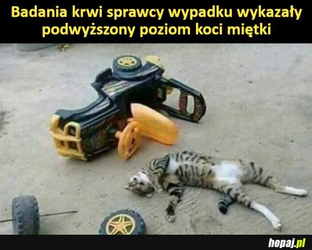 Kraksa