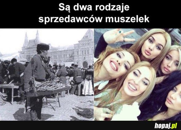 SPRZEDAWCY MUSZELEK