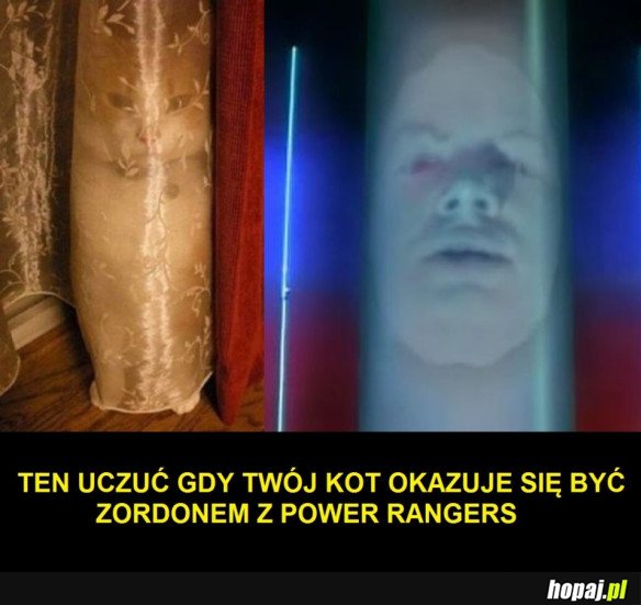 KOTEŁ ZORDON